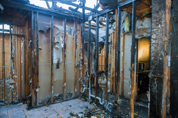 Professional Fire Damage Removal technician working in Waite Park, MN